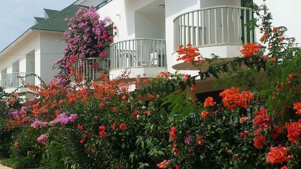 Ferienwohnung Leme Bedje Cl Santa Maria Exterior foto
